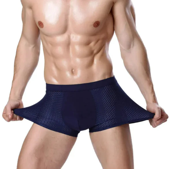 Men's Ice Silk Mesh U-Convex Modal Boxer Briefs