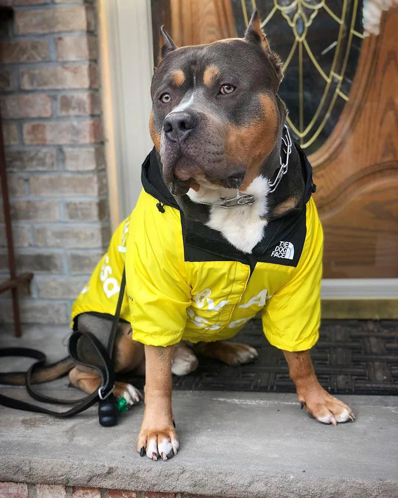 Regenmantel mit Kapuze für Hunde mit französischer Bulldogge