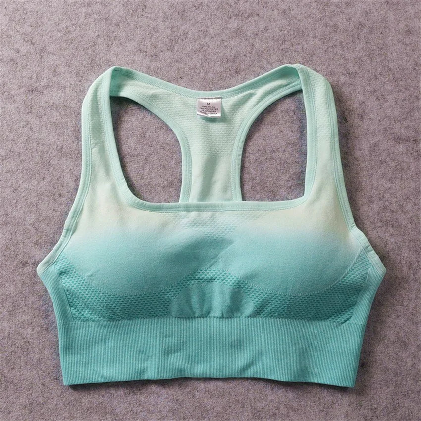 Ombre Sports Bra Top