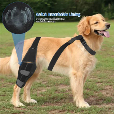 Canine Knee Guard: Protective Gear for Dogs