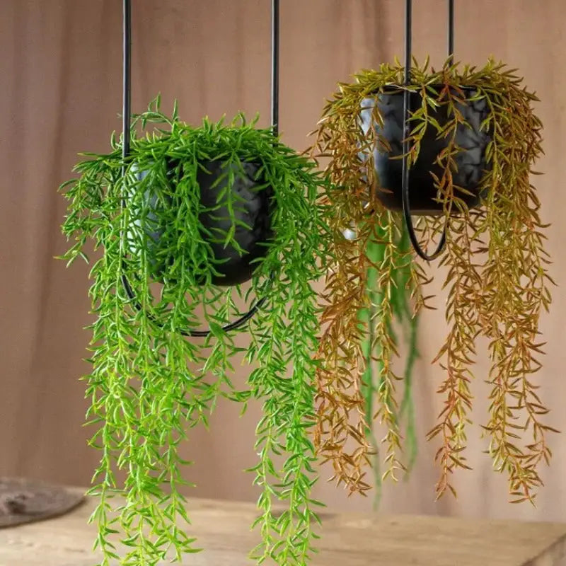 Creative Hanging Indoor Planter