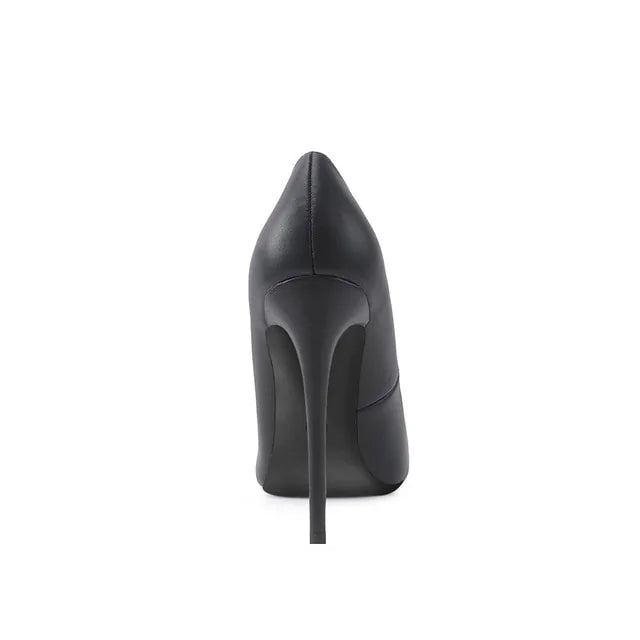 Pointed Toe Stilettos Shoe