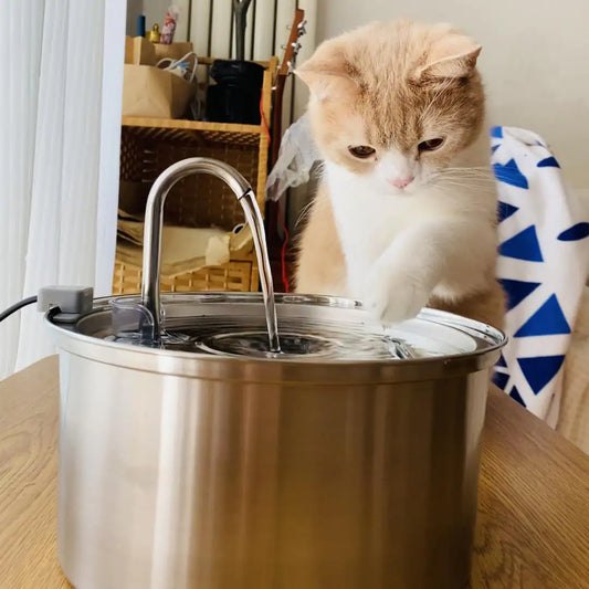 Cat Water Fountain