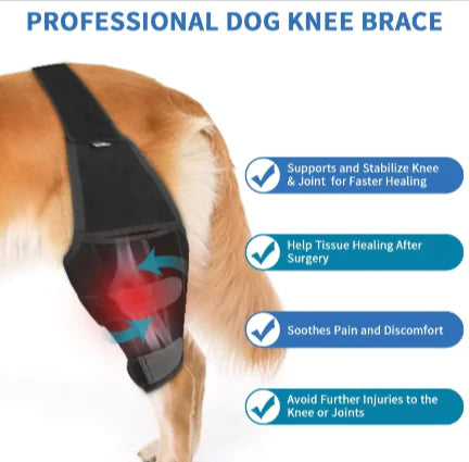 Canine Knee Guard: Protective Gear for Dogs