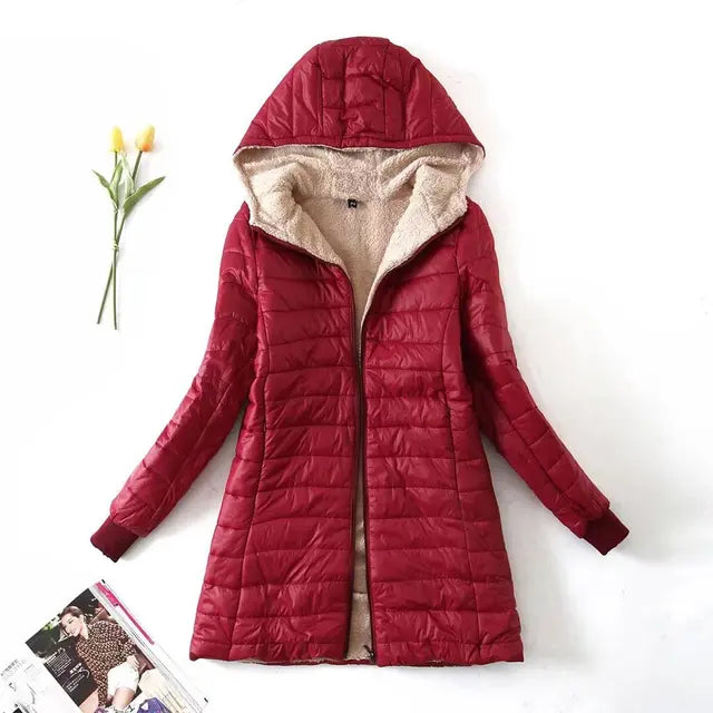 Winter Korean Style Cotton Coat