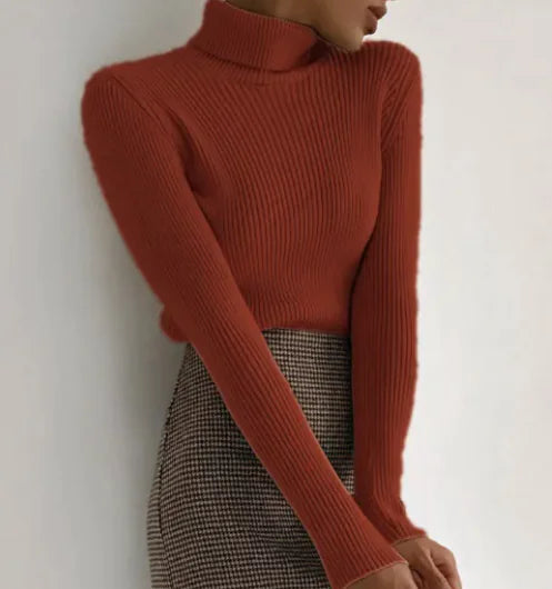 Women's Knitwear Turtleneck Pullover