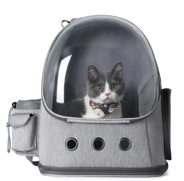 PawPort Pet Carrier