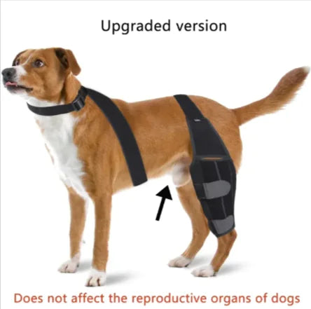 Canine Knee Guard: Protective Gear for Dogs