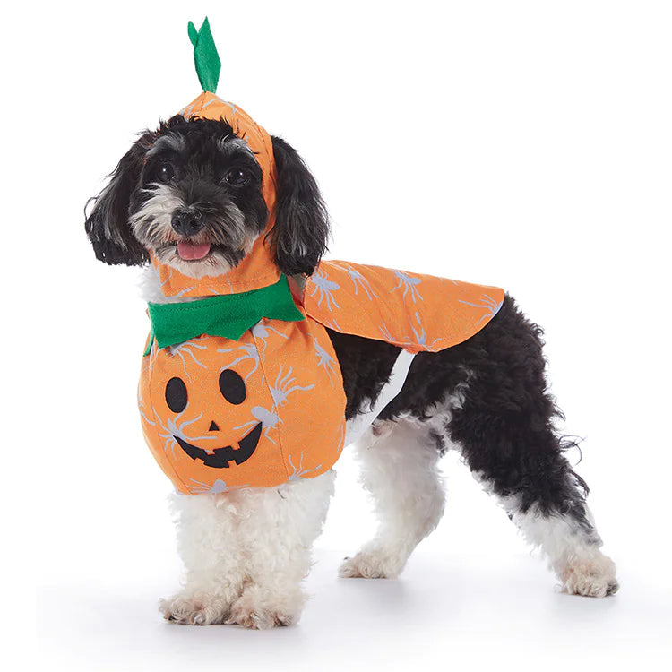 Halloween-Hundekostüme