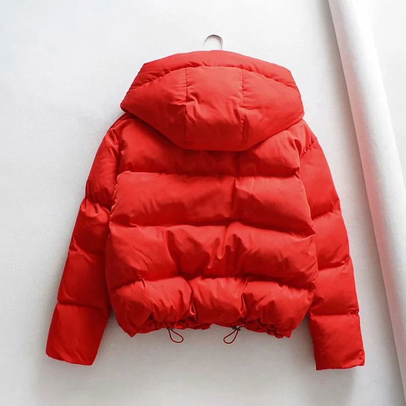 Cotton Padded Jacket Winter Hooded