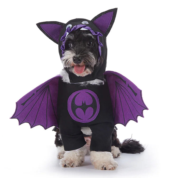 Halloween Dog Costumes