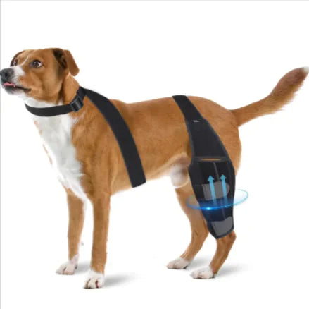 Canine Knee Guard: Protective Gear for Dogs