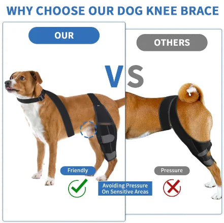 Canine Knee Guard: Protective Gear for Dogs