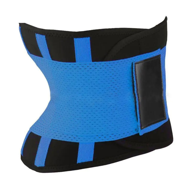 Workout Sweat Belt