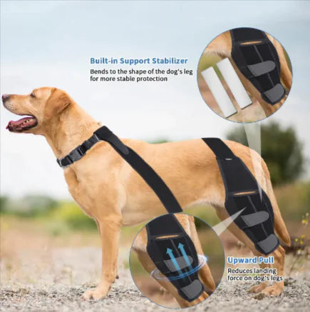 Canine Knee Guard: Protective Gear for Dogs